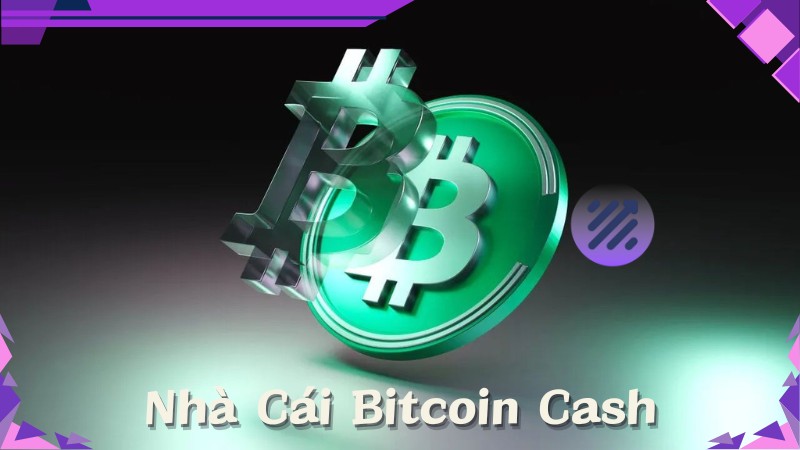 Nhà cái Bitcoin cash – Trải nghiệm cá cược an toàn số 1